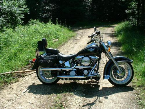 Harley 18.07.2004scharf